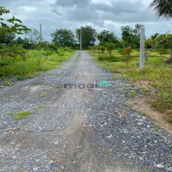 Đất trồng nằm nằm sát khu dân cư, cách Hóc Môn 5km