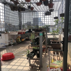 MTKD chợ An Lạc A 103m2 4 tầng 4x25.5 SHR đẹp tặng nt xịn, 12.7 tỷ TL