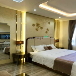 Cho thuê căn khách sạn siêu vip Phú Mỹ Hưng Q7 HCM y HINH
