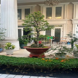 ?Cho Thuê Compoud villas Nguyễn Văn Hưởng Thảo Điền