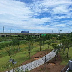 Biệt Thự View Sông PALM MARINA Quận 9 DT 10m x 25m Giá Tốt Thị Trường.