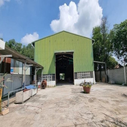 Bán Nhà Xưởng mặt tiền đường đồng P.Tân Phong