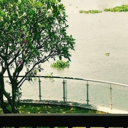 HÀNG NGỘP Villa view sông Vườn Lài ngang 12m 360m2 có hồ bơi chỉ 35 tỷ