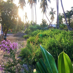 Mỹ Ca Cam Ranh Giá Tốt Người Tốt Giật Mình
