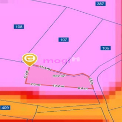 Mỹ Ca Cam Ranh Giá Tốt Người Tốt Giật Mình