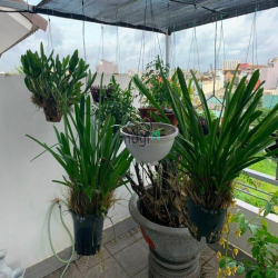 Bán Biệt Thự KDC Gia Hoà Quận9 DT 133m2 giá 16 tỷ sổ hồng alo em Nhi ạ