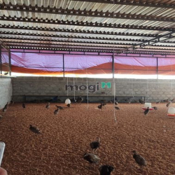 Bán nhanh lô đất 100% view biển 3900m2 Bình Thạnh, cách QL1A chỉ 200m