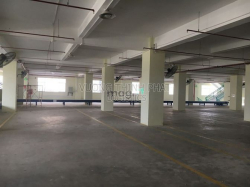 Cho thuê nhà xưởng 9898m2 Hồ Văn Long, Bình Tân khu logistics cont 24h