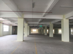 Cho thuê nhà xưởng 9898m2 Hồ Văn Long, Bình Tân khu logistics cont 24h