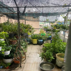 Nhà Còn Mới Vào Ở Ngay Tân Phú, Tiện ghé Q11, Q6 giá 5.5 tỷ