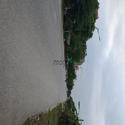 Bán đất Quốc lộ 17 xã Xuân Lai, Gia Bình, Bắc Ninh, mặt 5.5m, DT 110m2