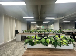 Sàn shophouse saritown SALA diên tích rộng đầy đủ nội thất chỉ 90trieu