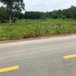 Đất vườn Nguyễn Thị Rành Củ Chi, 500m2,Sổ hồng , giá 800tr, Đường 15m