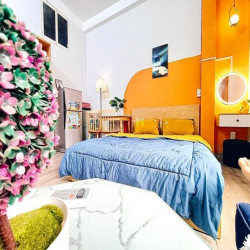 Căn Hộ dịch vụ new 100%_ cửa sổ_ full nội thất như hình_ diện tích 30m