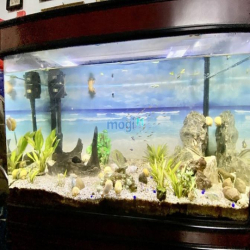 Bán gấp nhà Mặt tiền Tây Sơn, Tân Phú, 3 tầng, 5x21M, 10,9 tỷ ( Tl )