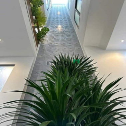 Bán nhà Hẻm 5m Bùi Quang Là, P12, GV, 4 x 14m, 4 tầng, 7.29 Tỷ