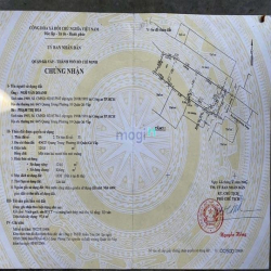 Bán dãy nhà trọ 8 phòng rẻ (6x20) 404/23 Quang Trung P10 Gò Vấp (UBND