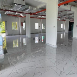 Văn phòng Sala - Trống Suốt - Vị Trí Cực Đẹp - Diện Tích Từ 220m2.