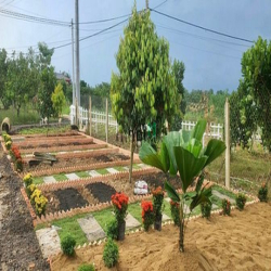 Bán Đất Vườn Trái Cây, Sổ Sẵn, 1000m2, Gần Quốc Lộ 20, Định Quán