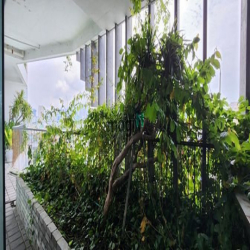 Văn phòng cho thuê_Phi Long building_Tầng 8_DT 557m2_220TR/tháng