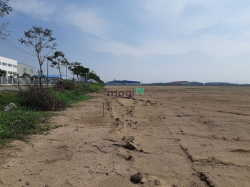 Cho thuê đất 10.000m2 có sẵn kho 2000m2 gần cầu Bình Phước, quận 12.