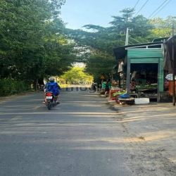 Định cư Pháp bán nhanh ĐẤT THANH PHƯỚC GÒ DẦU TÂY NINH DT:5x20/492tr