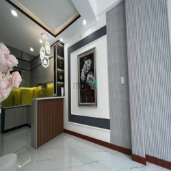 Bán nhà hẻm xe hơi 493A CMT8, Phường 13, Quận 10 TPHCM Giá 3 tỷ300 SHR