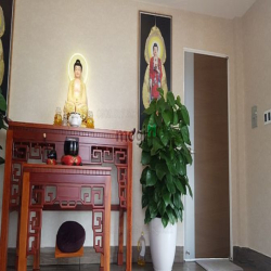 Tòa nhà văn phòng 7 tầng thang máy, 1000m2, 30 CHDV doanh thu 100tr