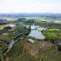 Bán Đất vườn cây ăn trái, 1000m2, La Ngà, Định Quán, Đồng Nai