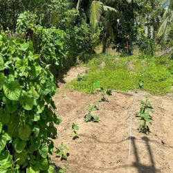 490 TRIỆU: 65,5m2 đất lộ ô tô 5m cách đường Chí Sinh, Tân Phú, Cái Răn
