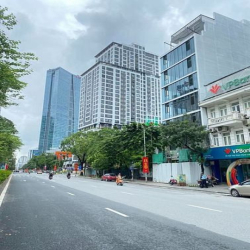 Chính Chủ Bán  Nhà Ba Đình Phố Liễu Giai 96m2 x 9 Tầng 90 Tỷ  Lô Góc.