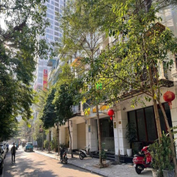 Bán Nhà LK 90 Nguyễn Tuân - Quận Thanh Xuân - Dt 75m2 x 5 tầng - Mt 5m