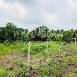 LỖ NẶNG!!! Cần Tiền Bán Lỗ Mảnh Vườn 1 Sào SHR Ngay NVH Ấp 5