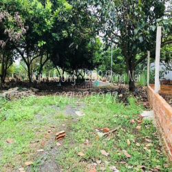 LỖ NẶNG!!! Cần Tiền Bán Lỗ Mảnh Vườn 1 Sào SHR Ngay NVH Ấp 5