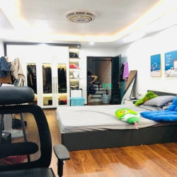 Vũ Ngọc Phan-Ô tô tránh ngõ thông- Kinh doanh sầm uất