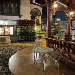Bớt 20 tỷ còn 100 tỷ, Bán (Biệt Thự) Vũ Tông Phan. 20x20m. 400m2.