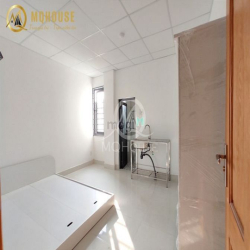 Khai trương Căn hộ, Duplex, Ban công, Studio khu vực Tân Phú