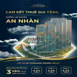 20 căn Vinhome Bason cuối cùng của CDT hỗ trợ lãi suất 24 tháng