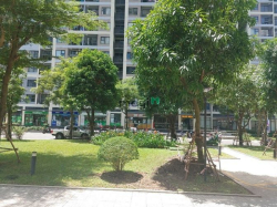 Shophouse Vinhomes Grand Park diện tích 81m2, đã hoàn thiện cơ bản ))