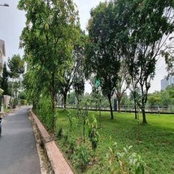 CC cắt lỗ khuôn đất mặt Sông đường Thân Văn Nhiếp-An Phú, Q2, 100tr/m2