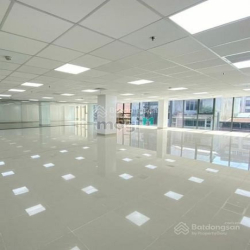 Cho thuê VP 150m2 - 300m2 Lầu 2 tòa nhà MT Nguyễn Công Trứ, Q1 giá rẻ.