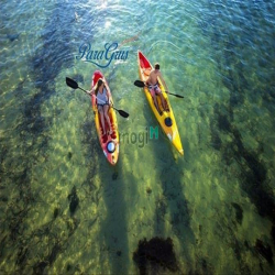 Đại Quần Thể Đô Thị - Giải Trí -Nghĩ Dưỡng- KN PARADISE