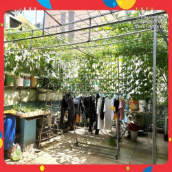 TB. 6x triệu/m2. Nhà 135m2, 3T, ngang 5.2M, nở hậu, gần MT Cộng Hòa.