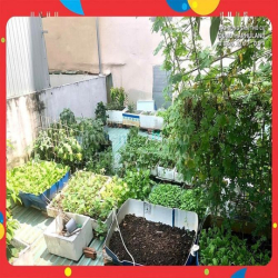 TB. 6x triệu/m2. Nhà 135m2, 3T, ngang 5.2M, nở hậu, gần MT Cộng Hòa.