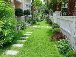 Cho thuê biệt thự đơn lập mỹ phú phú mỹ hưng q7 dt 320m2