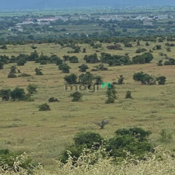 Bán đất vườn hoà thắng vuông đẹp chỉ 879tr, ck cao, cách ĐT 716 1,2km