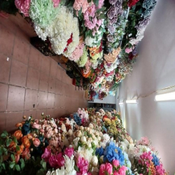 Gần chợ ĐỒNG XUÂN, KD số 1 HÀ NỘI, Bán nhà phố HÀNG LƯỢC 85m, 27,6 tỷ