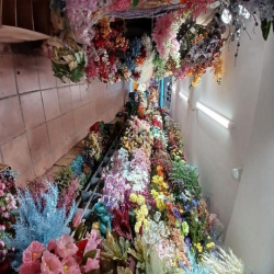 Gần chợ ĐỒNG XUÂN, KD số 1 HÀ NỘI, Bán nhà phố HÀNG LƯỢC 85m, 27,6 tỷ