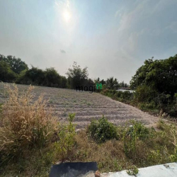 chính chủ muốn bán lô đất ở đô thị 234m2 giá 430tr (còn giảm nhẹ lấy l