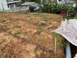 Bán đất mặt tiền đường Triệu Việt Vương P3 Đà Lạt hợp đầu tư - MN3595